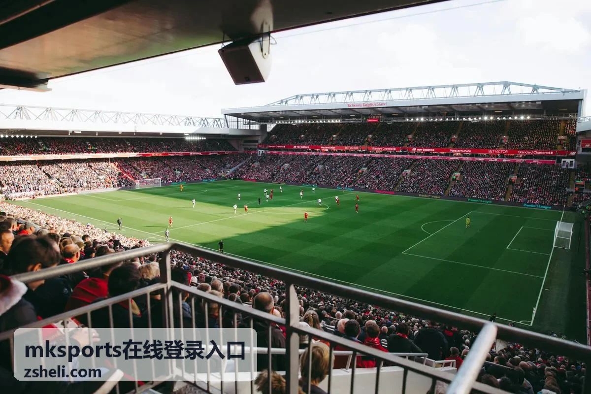mksports在线登录入口使用说明配图