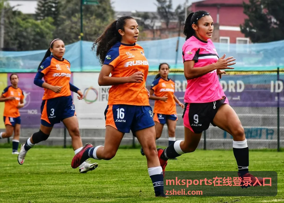 mksports在线登录入口访问排查